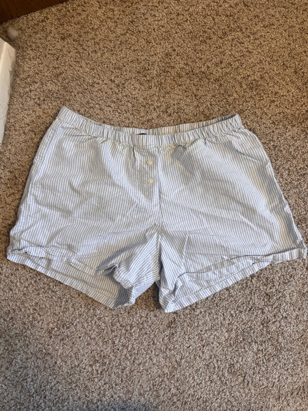 Brandy Melville Light Blue & White Striped Shorts